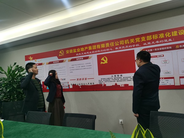 安徽鹽業(yè)地產(chǎn)集團(tuán)機(jī)關(guān)第一黨支部開(kāi)展“佩黨徽、誦誓詞、贈(zèng)黨章、上黨課”黨員教育活動(dòng)